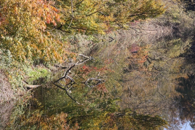 omaggio a Monet